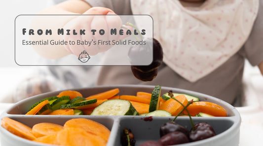 Introducing Solids: A Complete Guide for Your Baby's First Foods - Cute Cubs